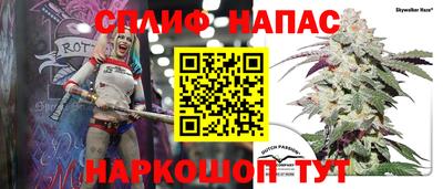 сатива Конаково