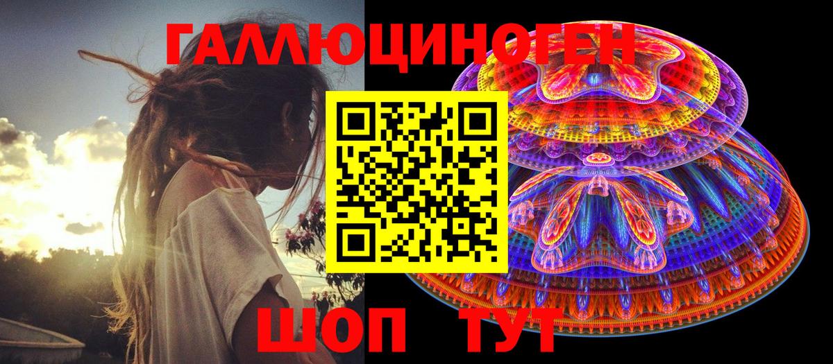 Псилоцибиновые грибы Psilocybe  Вход с VPN  Камышлов 